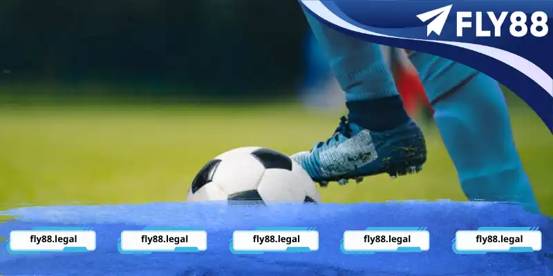 Tìm hiểu về luật cá độ bóng đá Tìm hiểu về luật cá độ bóng đá